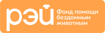 прозрачный фон